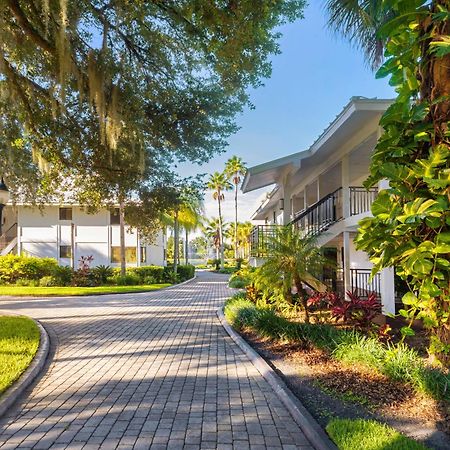 Saddlebrook Golf Resort & Spa Tampa North-Wesley Chapel Exteriér fotografie