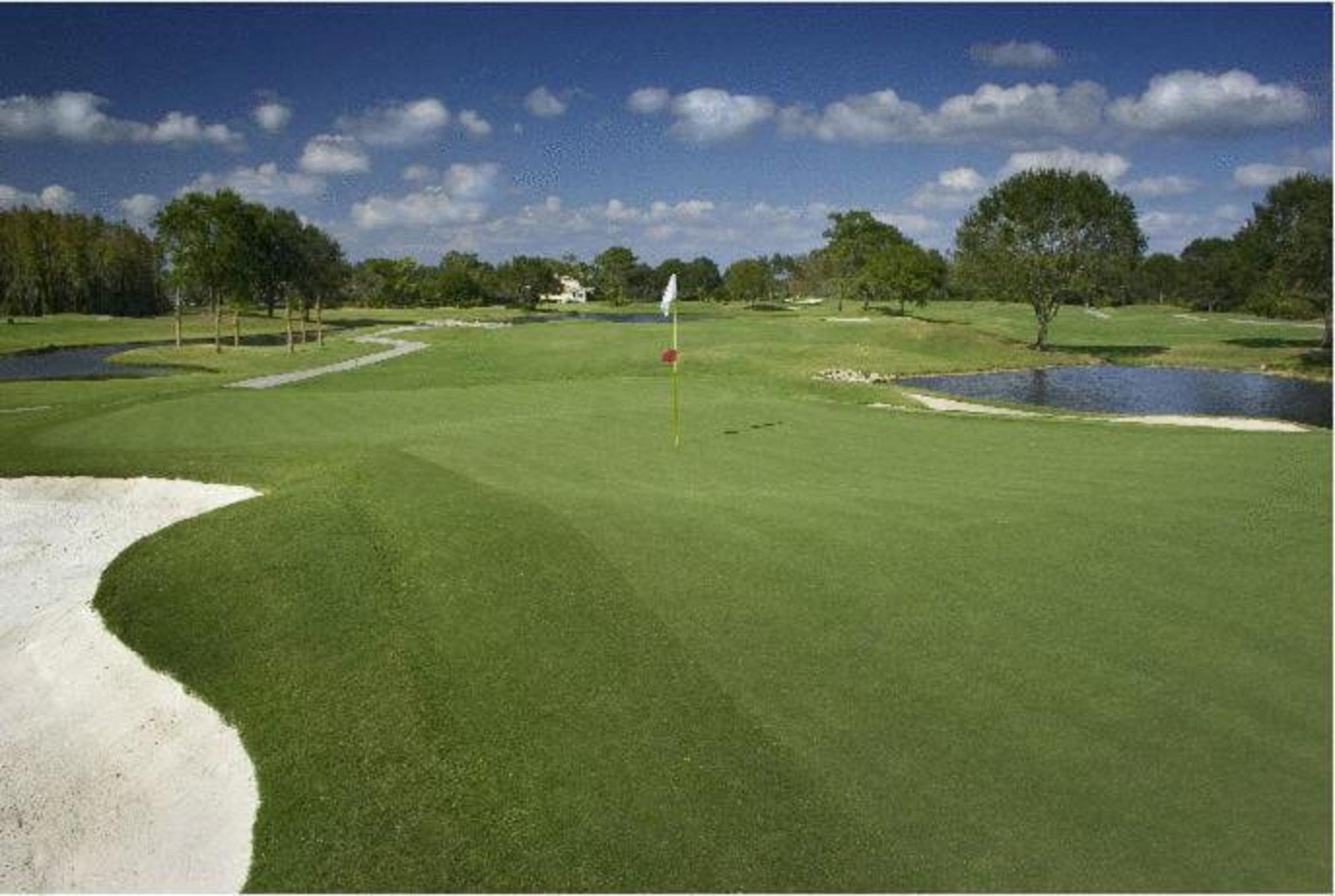 Saddlebrook Golf Resort & Spa Tampa North-Wesley Chapel Exteriér fotografie