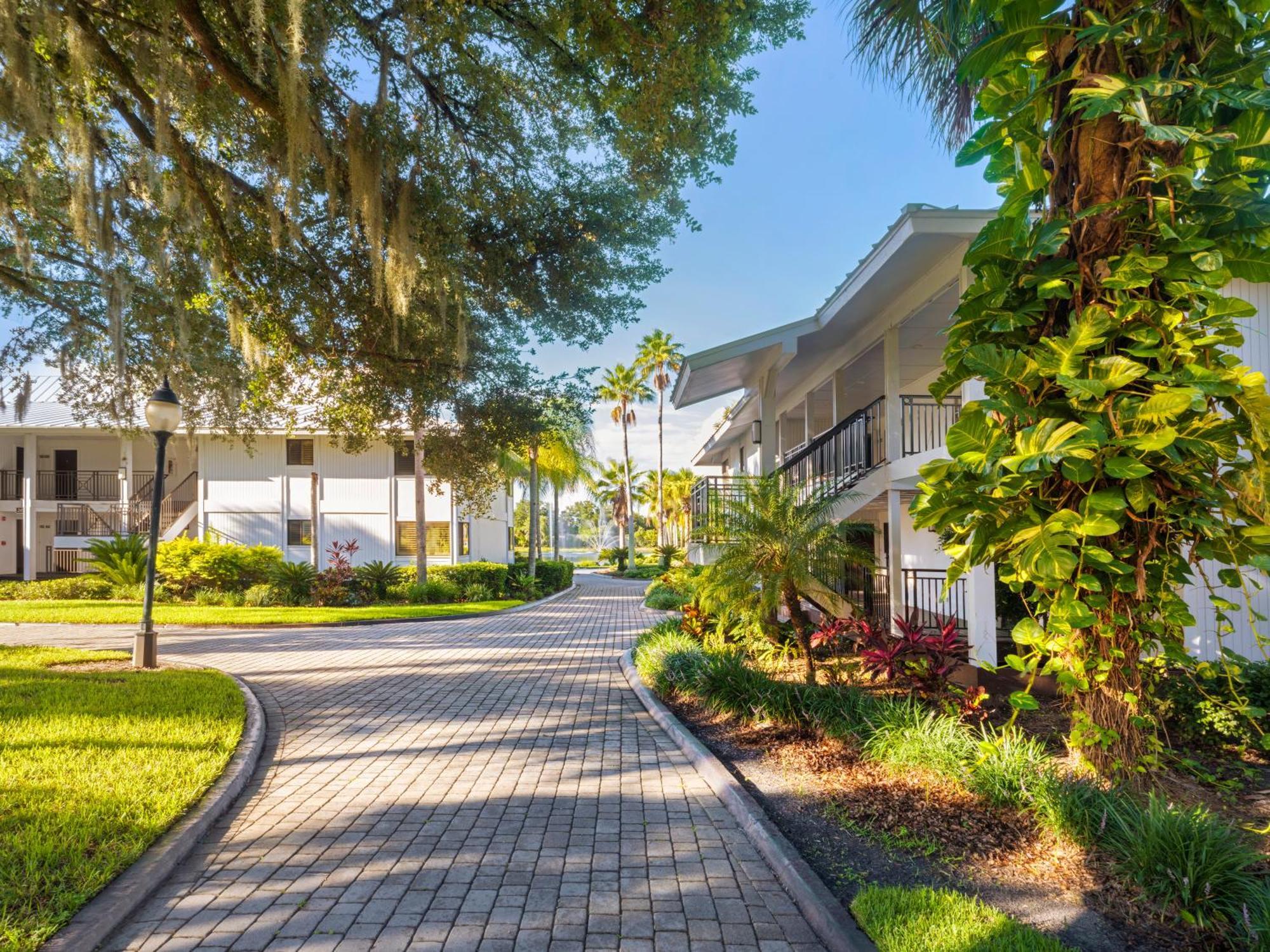Saddlebrook Golf Resort & Spa Tampa North-Wesley Chapel Exteriér fotografie